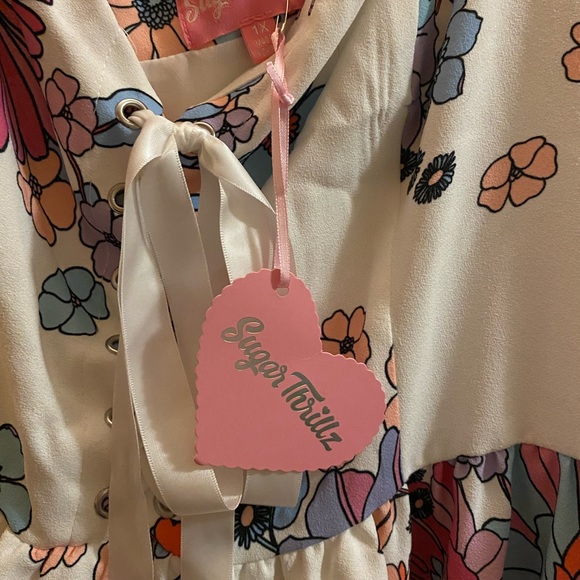 Dolls Kill Sugar Thrillz 
Devine Blissful Lane Floral Dress (Plus Size 1XL) - Picture 4 of 5